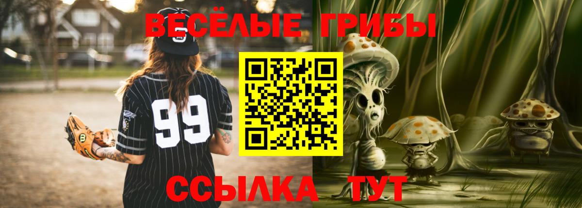 Псилоцибиновые грибы Cubensis  Вход с VPN  Новочебоксарск 